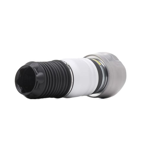 RIDEX Luftfeder, Fahrwerk PORSCHE 4119A0151 97034315200