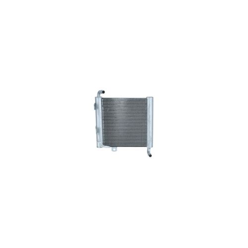 NRF Kühler, Motorkühlung JAGUAR 550162 T2H3344 Kühler,Wasserkühler,Autokühler,Motorkühler