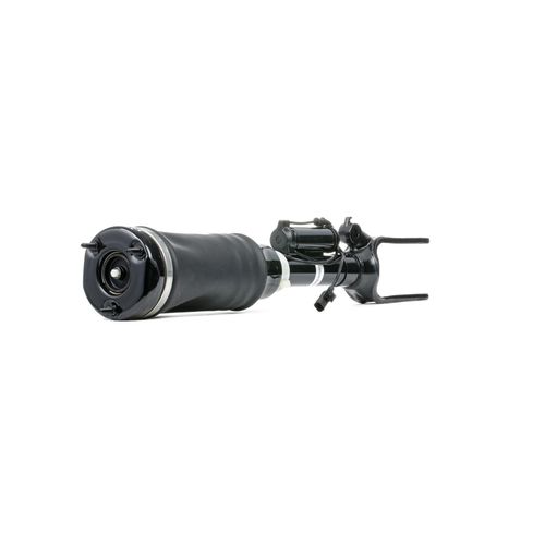 RIDEX Luftfederbein MERCEDES-BENZ 4118A0056 2513205713,A2513203113,2513203113