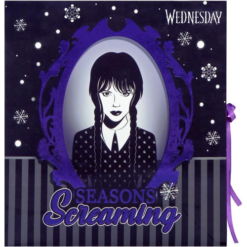 UNDERCOVER Spielzeug-Adventskalender »Wednesday«, ab 6 Jahren