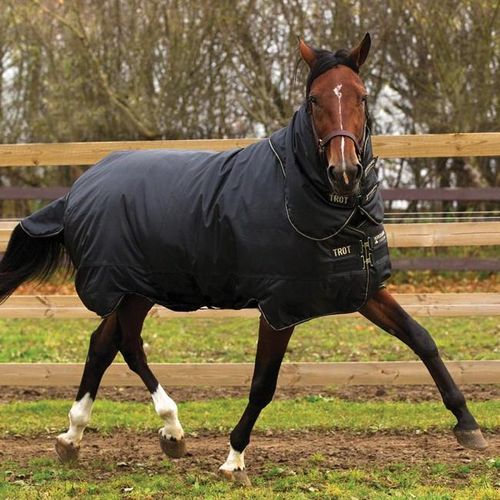 Horseware Trot Rug Plus Heavy Turnout Decke 350g Weidedecke black/black & tan, Größe:6'3