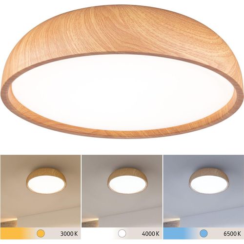 Paulmann Selection Bathroom LED Deckenleuchte Oka
