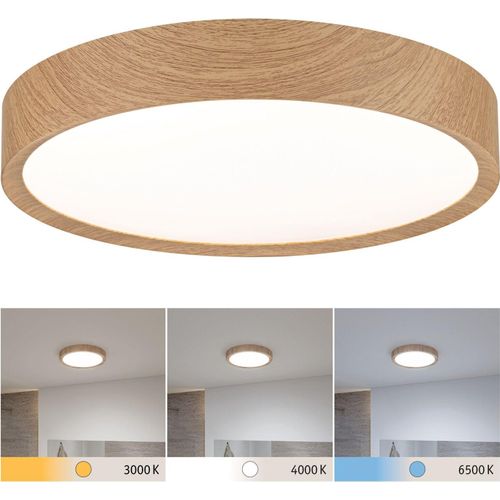 Paulmann Selection Bathroom LED Deckenleuchte Tega