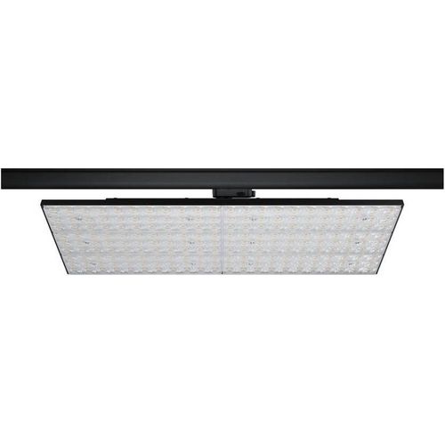 Paulmann 96582, Schienenlichtschranke, Nicht austauschbare(s) Leuchtmittel, LED, 80 W, 3000 K, Schwarz