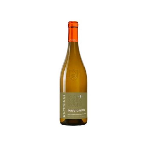 Sauvignon Blanc - Loire Rebelle 2023 - Dumnacus Vignerons