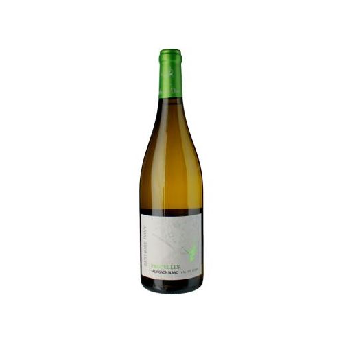 Sauvignon Blanc - Parcelles 2024 - Réthoré Davy