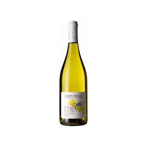 Sauvignon Blanc - Destinea 2023 - Joseph Mellot