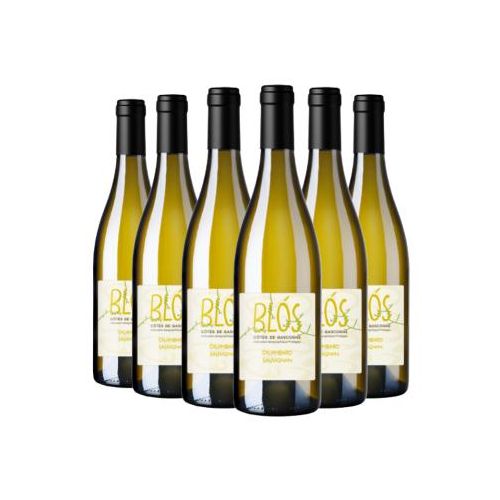 Weinpaket - Colombard-Sauvignon 2024 - Blos - Angebot 5 Fl. kaufen + 1 Fl. geschenkt