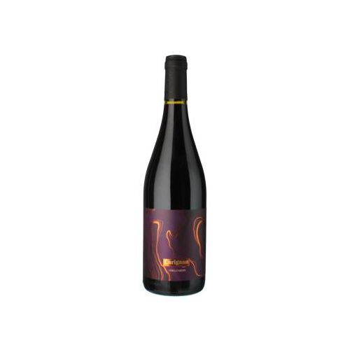 Carignan 2024 - Maison Auzias