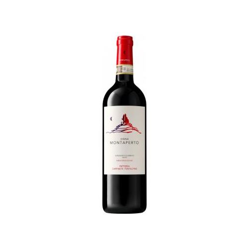 Chianti Classico Vigna Montaperto Gran Selezione 2019 - Fattoria Carpineta Fontalpino