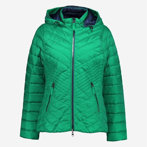 Grün-blaue wattierte Wendejacke