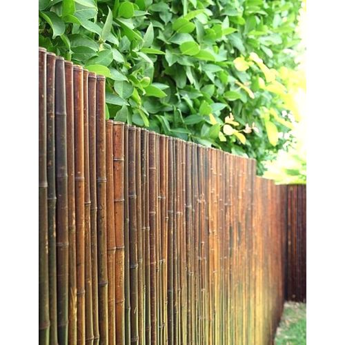 Bambuszaun Sichtschutz aus Bambus - Rollzaun ATY NIGRA (Höhe x Breite) - 180 cm x 180 cm-Zaun, Zaunelement, Bambuselement