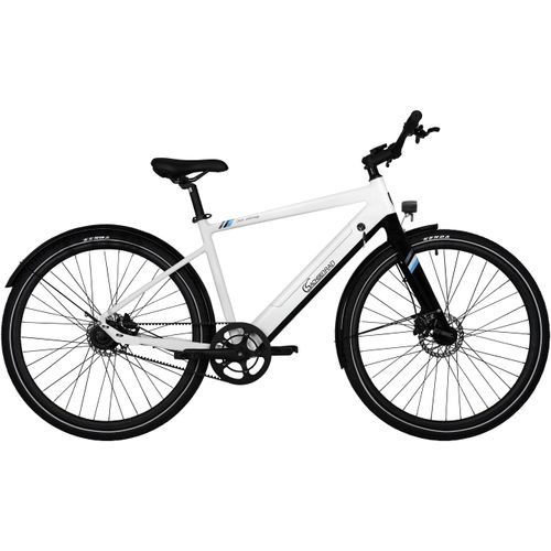 E-Bike SACHSENRAD 