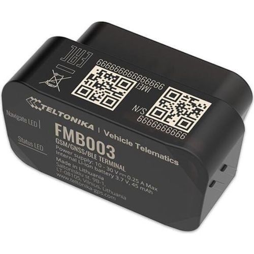 FMB003 - Fortschrittliches Plug & Track-Gerät mit Bluetooth