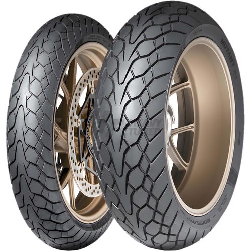 Winterreifen Dunlop Mutant 180/55 ZR17 73W TL M+S hinten