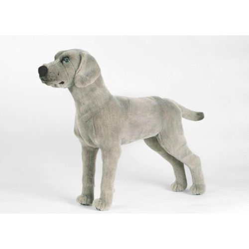 Kösen Weimaraner Hund 47 cm
