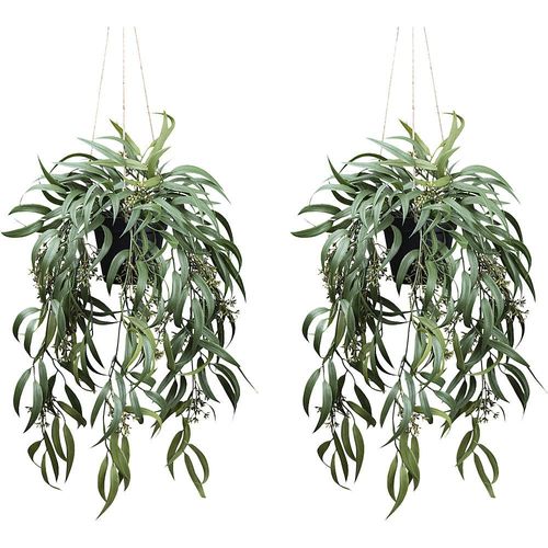 Künstliche Pflanze Eukalyptus globolus mit Fruchtstand, 2er-Set, Kunststofftopf, Höhe 650 mm kaiserkraft Image