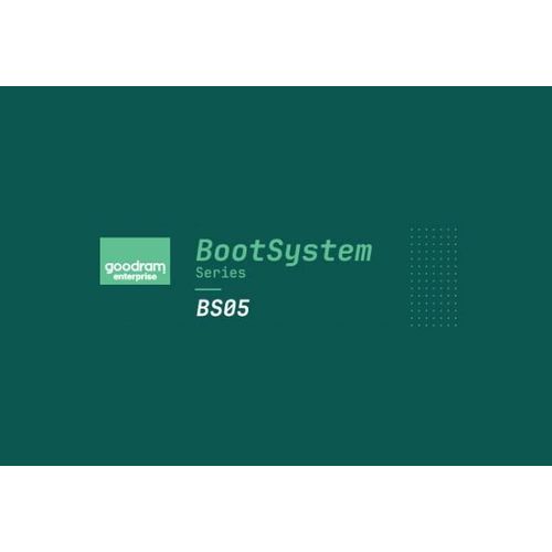 SSD Goodram BS05M 480 GB SATA 2,5 Zoll GEBS05SA00-480NS10B (DWPD bis zu 1)