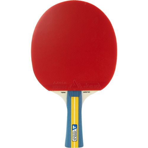 Tischtennisschläger JOOLA "JOOLA Tischtennisschläger Team Master", bunt, TischtennisschlägerB:151mm L:256mm T:14mm, B:151mm L:256mm T:14mm