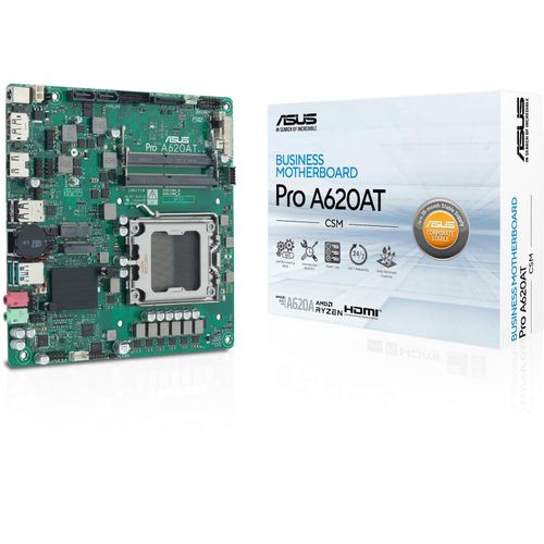 ASUS Mainboard PRO A620AT-CSM