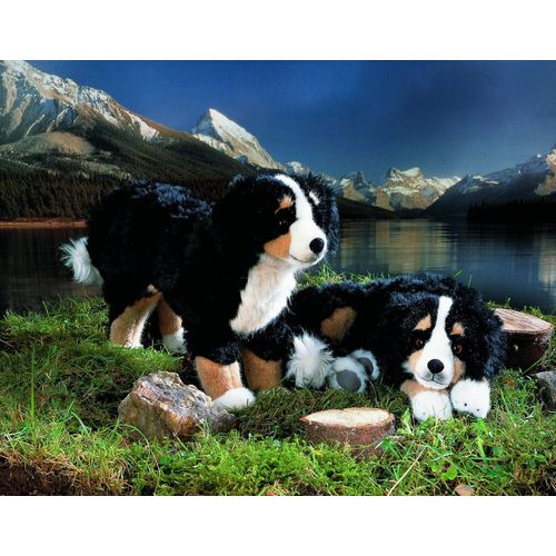 Kösen 4720 Berner Sennenhund stehend Plüschtier Kuscheltier Stofftier