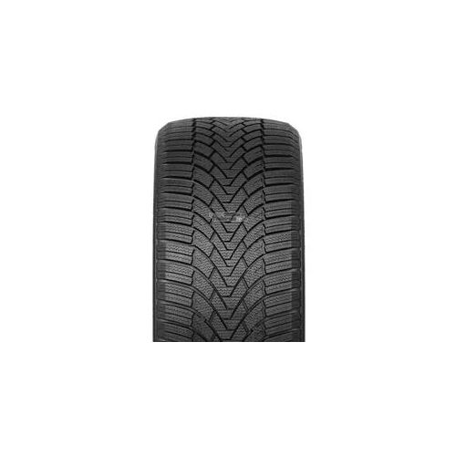 Winterreifen ARIVO ARW3 205/50 R16 91 V XL