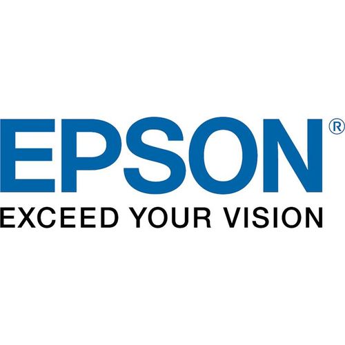 Epson 7110459 DVD-Rohling 4,7 GB 1 Stück