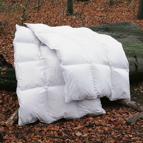 Bettwaren-Shop Daunendecke Polar extra warm, Füllung: 70% Federn, 30% Daunen 155x220 cm