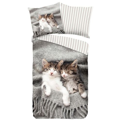 Xxxl Jugendbettwäsche Snooze , Grau , Textil , Katze , 135x200 cm , bügelleicht , Schlaftextilien, Bettwäsche, Kinderbettwäsche