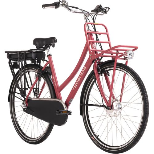 E-Citybike Damen Hollandia Carry on 28'' E-Bike 3 Gänge Hollandia 152E, 153E, 190E