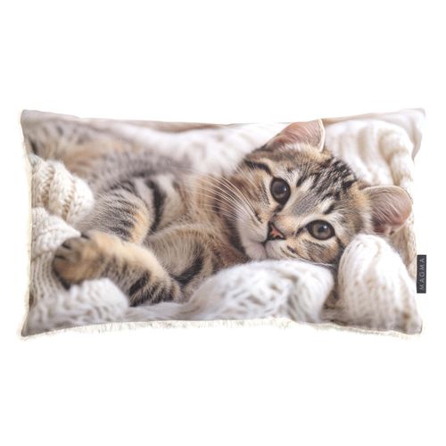 Kissen CAT