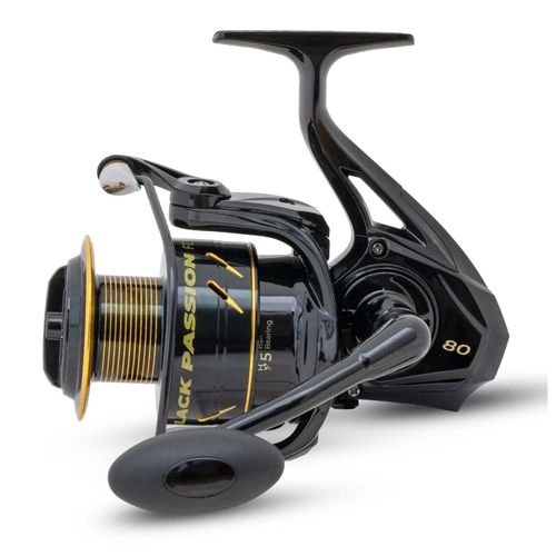 Black Cat Passion FD 50 Wels-Stationärrolle