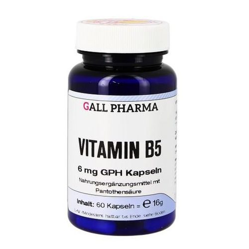 VITAMIN B5 6 mg GPH Kapseln 60 St