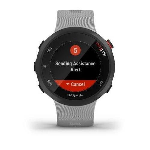 Smartwatch Garmin GPS Forerunner 45 Plus -