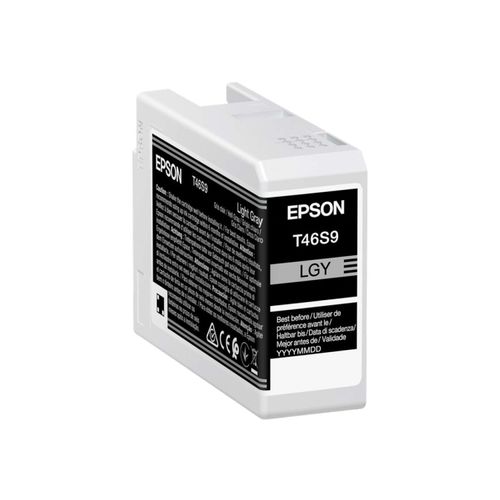Original Epson C13T46S900 / T46S9 Druckerpatrone Foto Grau