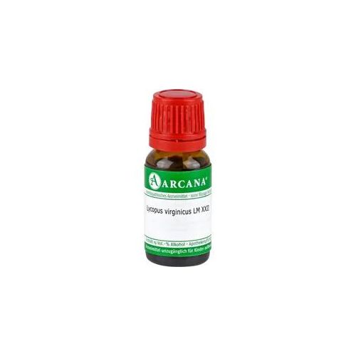 Lycopus Virginicus Lm 22 10 ML