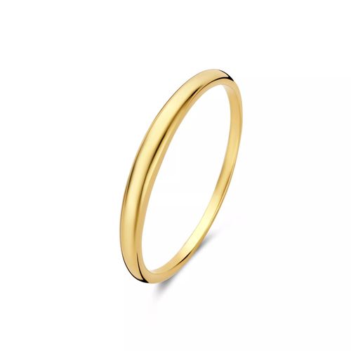 Isabel Bernard Ring - Rivoli Maryn 585 Gold Ring - Gr. 50 - in Gold - für Damen Image