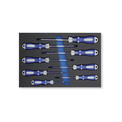 Bernese 240294 Schraubendreher-Set 8-DLG-Torx-Kartonbox
