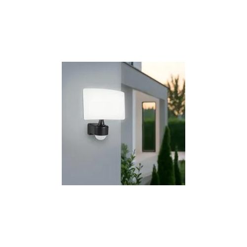 LED Außenstrahler 30W 4000K anthrazit mit Bewegungsmelder