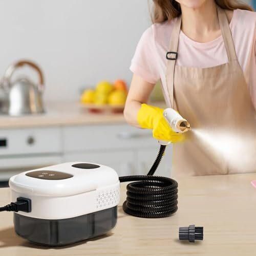 Dampfreiniger, 2500W intelligenter Hochdruck -Handheld -Haustemperaturreinigungsmaschine, sauberer Küchenmöbel, Bad, Auto (EU -Stecker 220 V)