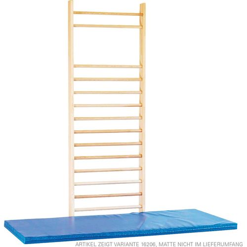 Sprossenwand nach DIN, BxH 100x260 cm, 16 Sprossen