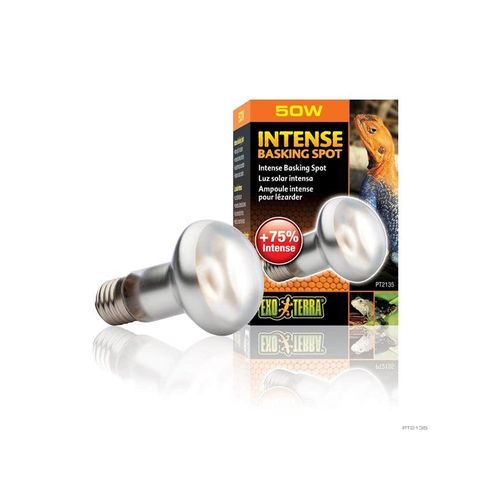EXO TERRA Intense Basking Spot 50W