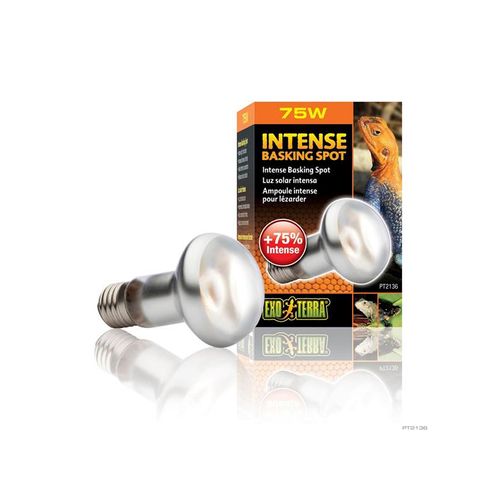 EXO TERRA Intense Basking Spot 75W
