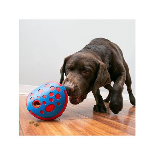 KONG Activation Toy Rewards Wally