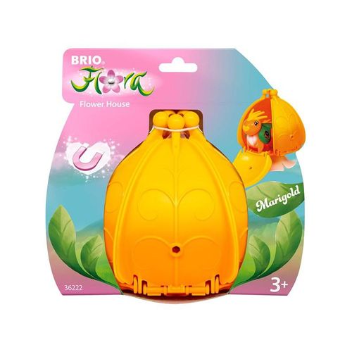Brio Marigolds Blumenhaus