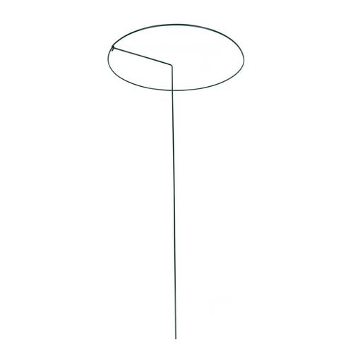 Home>it Plant support Ø40 x H80 cm
