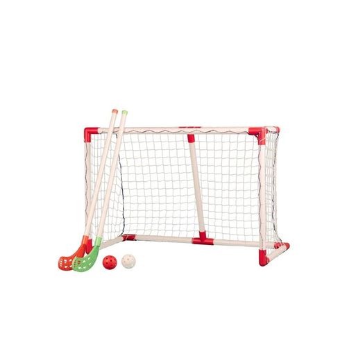 My Hood Hockey Goal