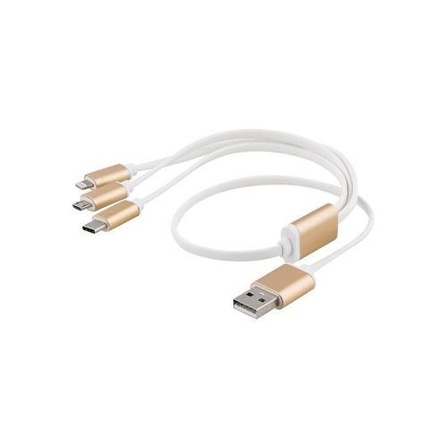 EPZI Lightning cable - Lightning / USB - 50 cm