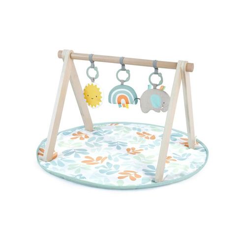 Ingenuity Sun Valley Wooden Toy Arch & Play Mat