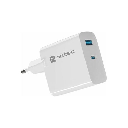 Natec Ribera power adapter - GaN - USB 24 pin USB-C - 65 Watt
